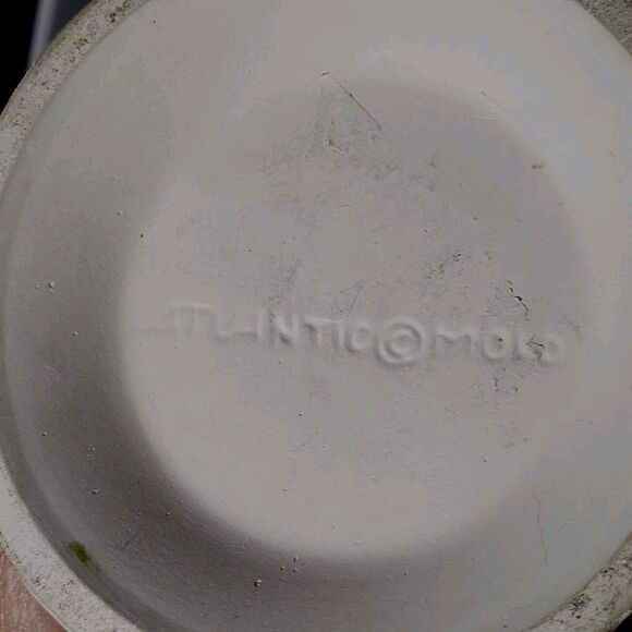 Atlantic Mold Decorative German Painted Pitcher Old World Circa. 1970 Vintage - Picture 13 of 16